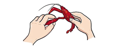 1557052991280589.jpg mLEx-hwfpcxp0008216.jpg